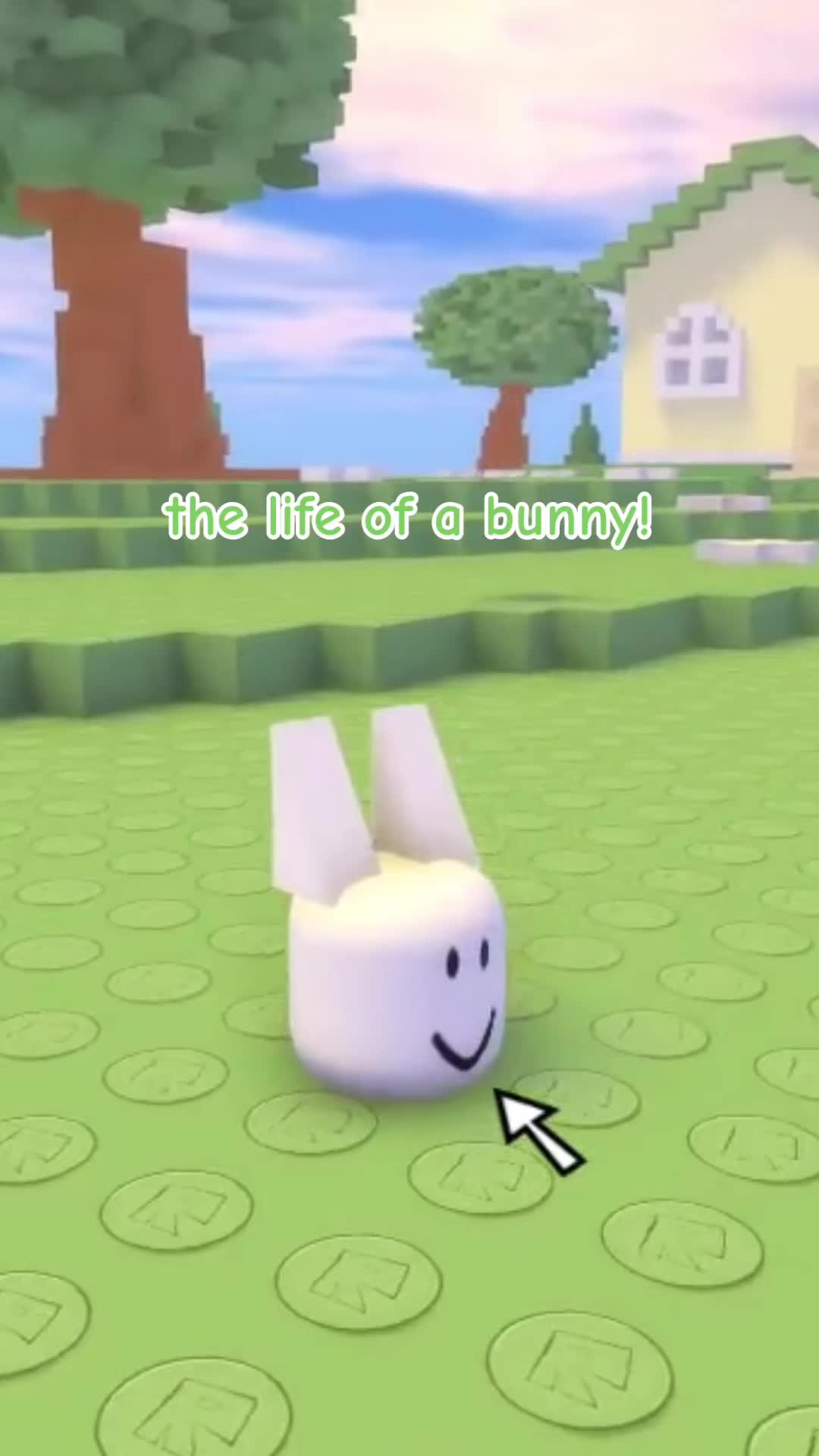 @puppy