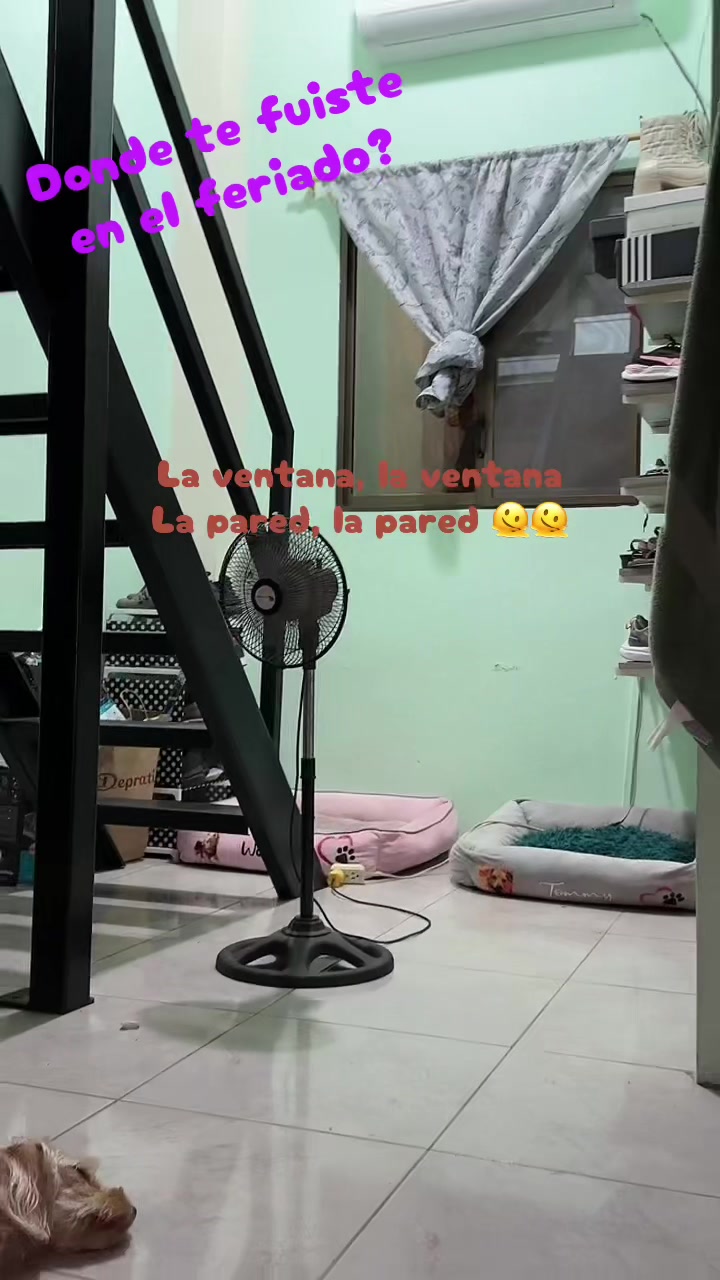 @Taty777