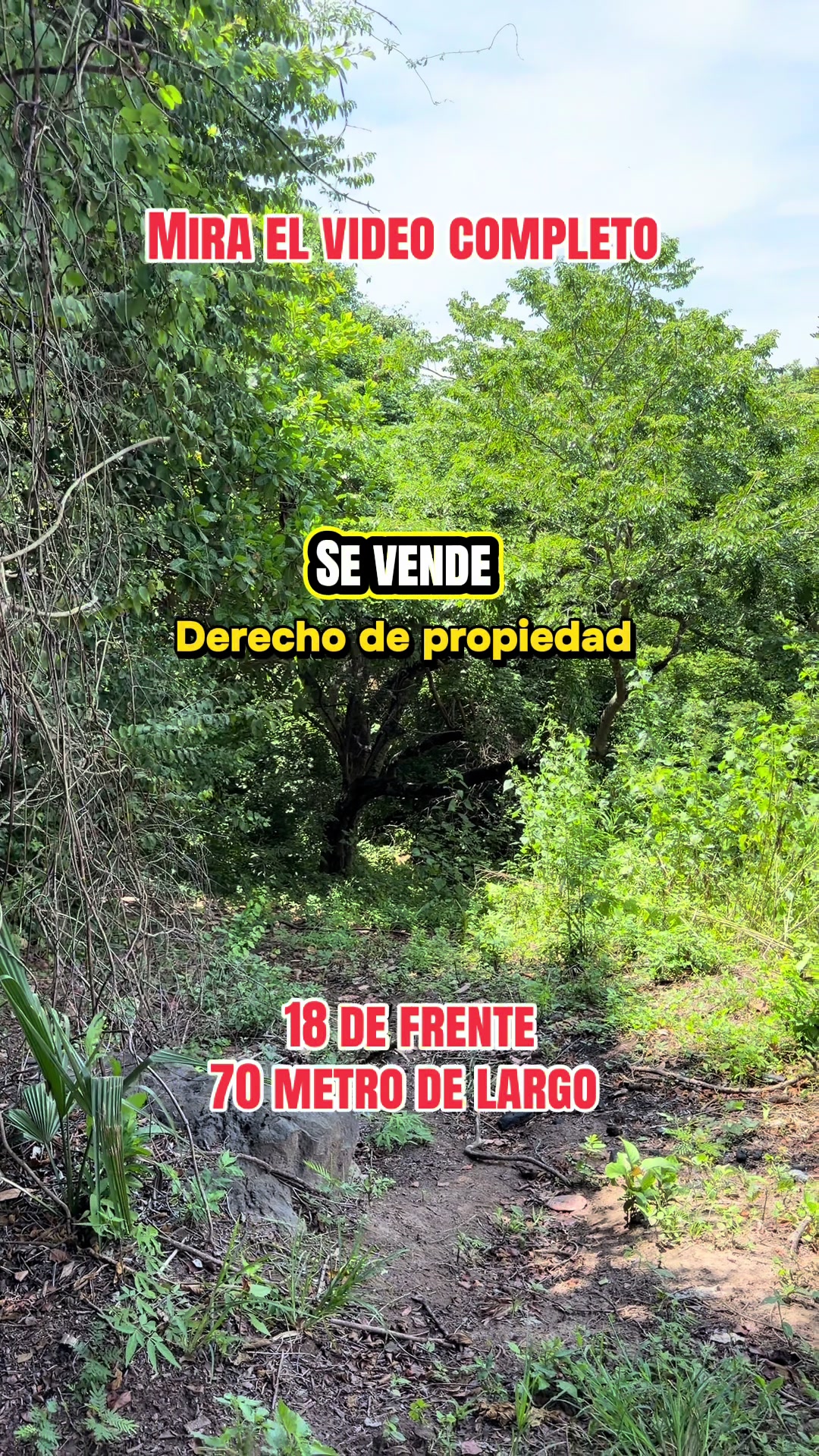 @Marco Ortiz🧸
