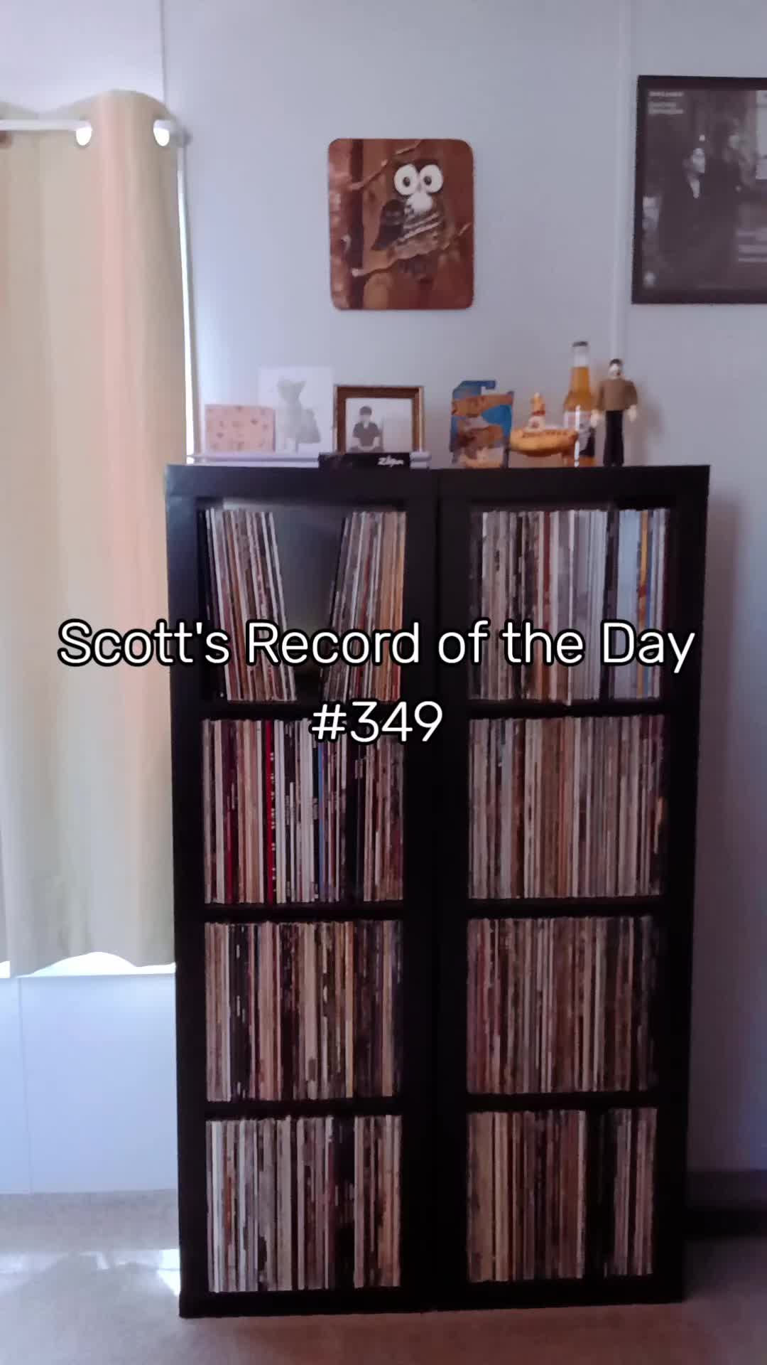 @Scott Reed ❌️