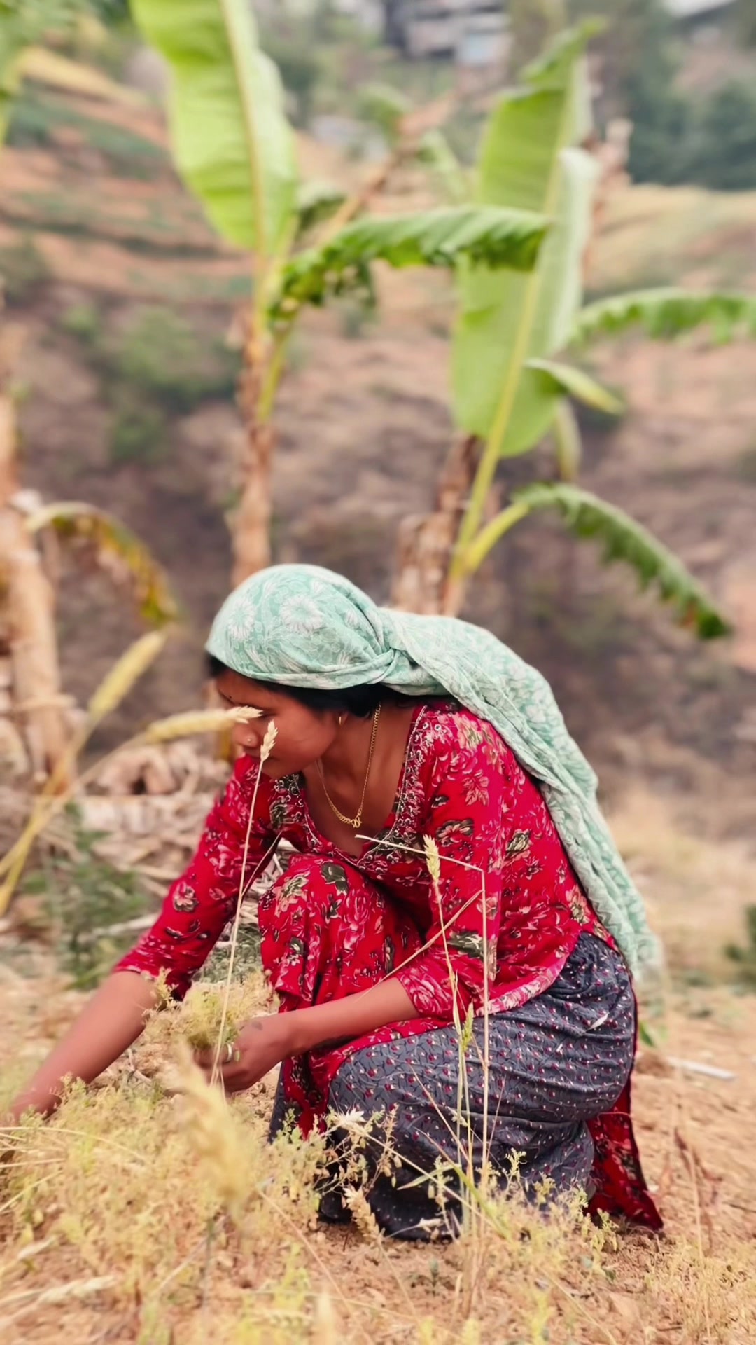 @रानी♡🕊️