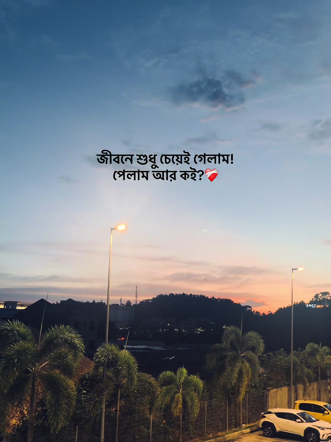 @आईएएन ┊🐥