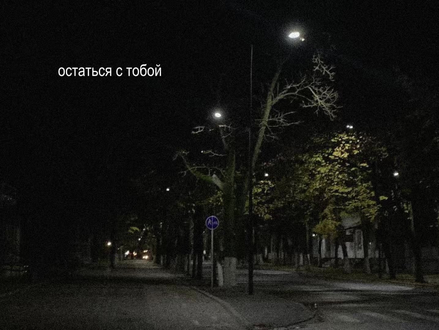 @𝑒𝑙𝑖𝑣𝑎𝑛𝑠𝑎
