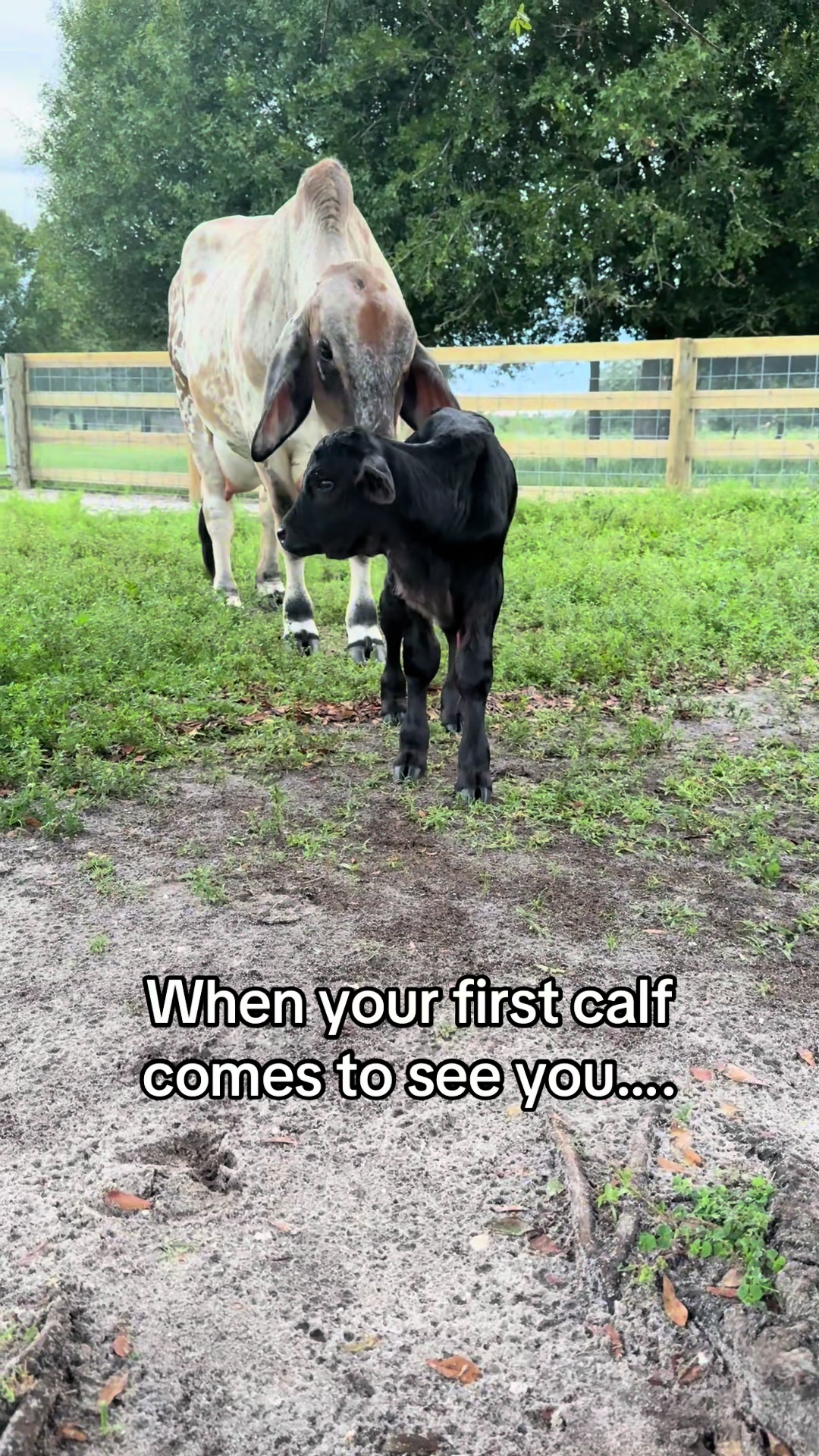 @TheFunnyFarmMom