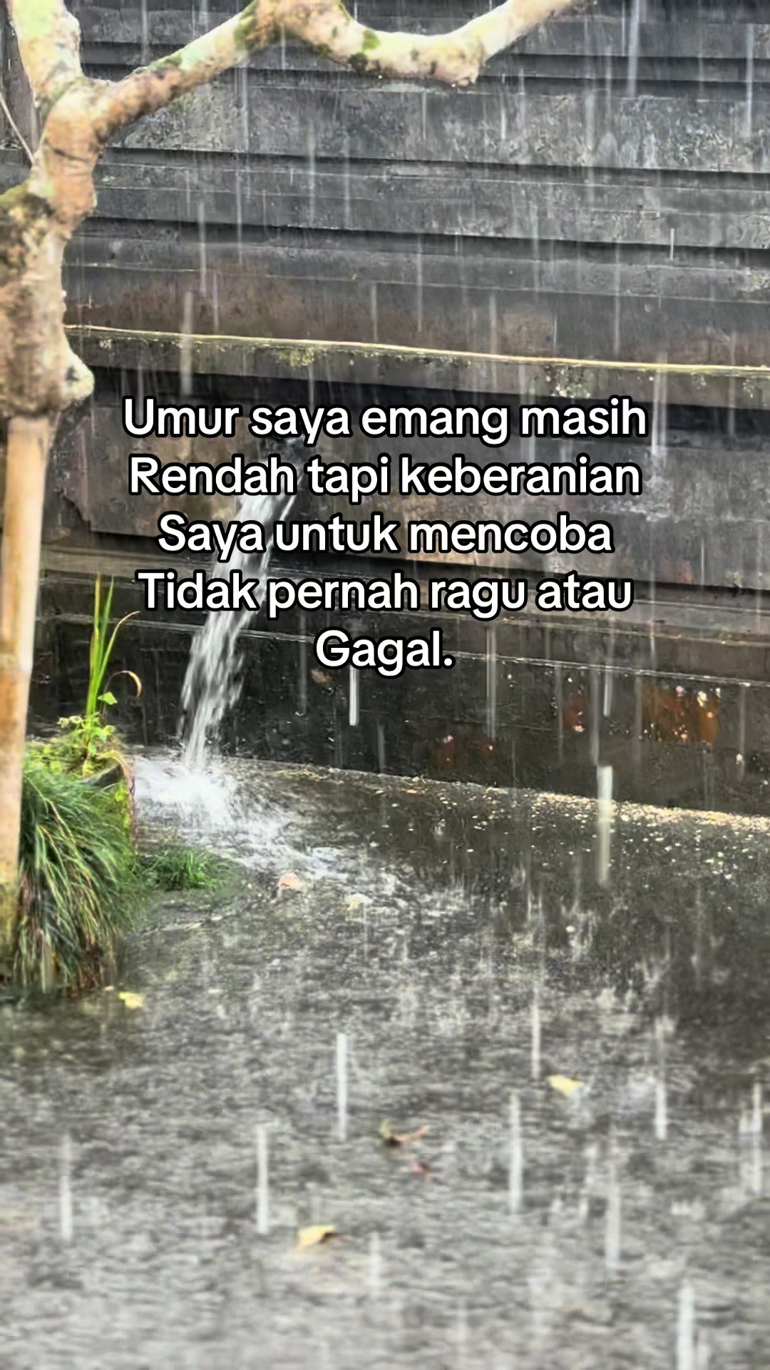 @🥀