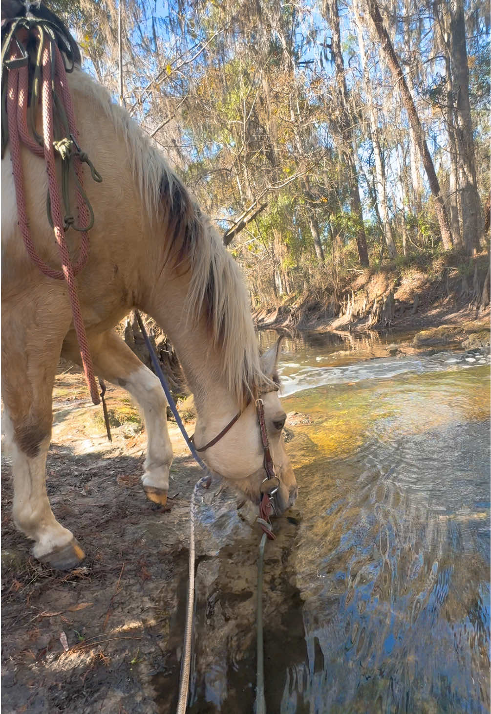 @brick