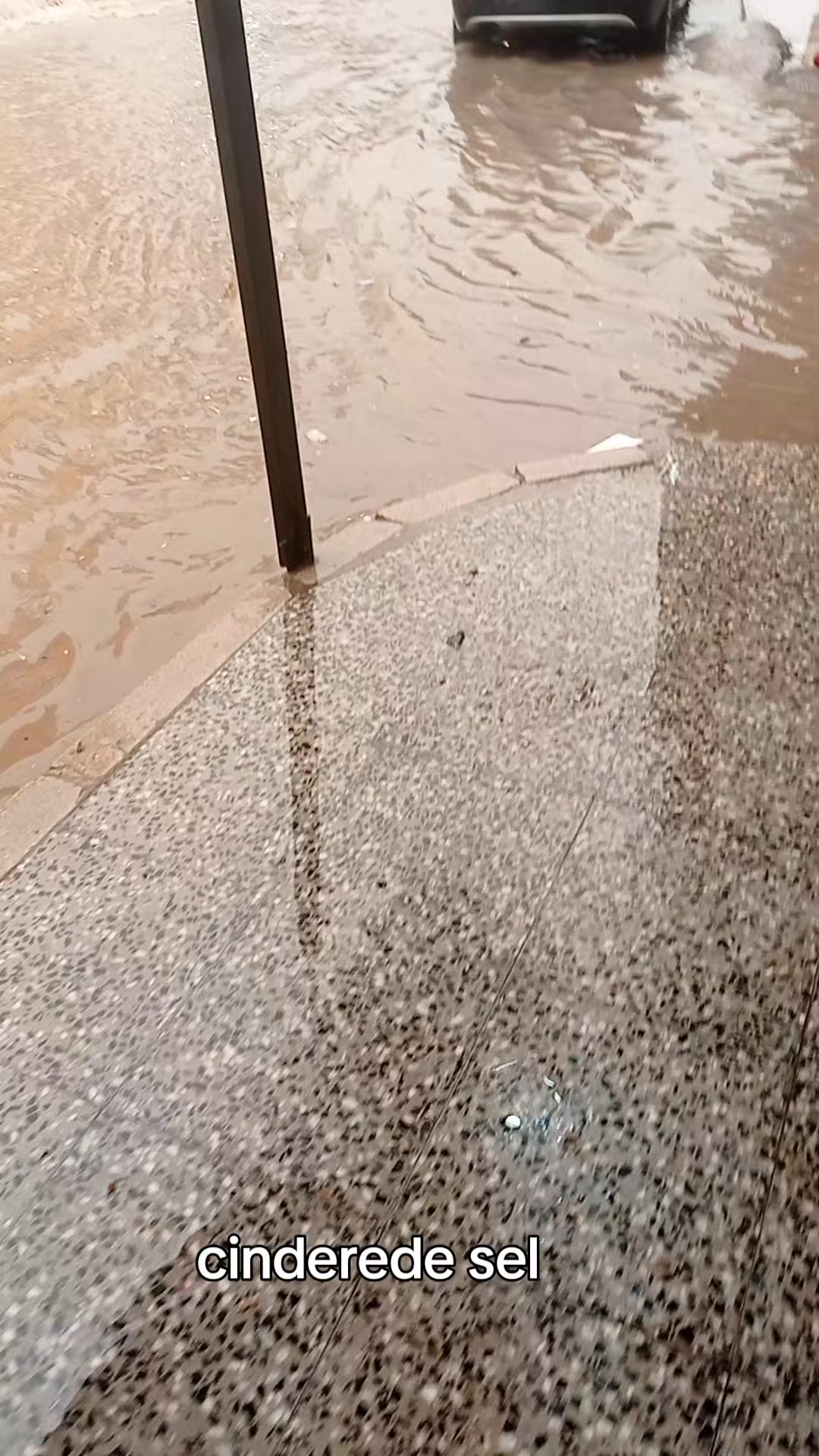 @Vehbi çiçekten