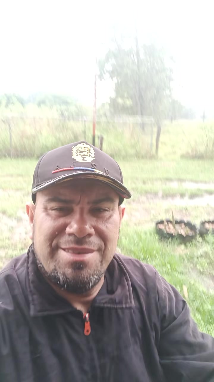 @arquiles