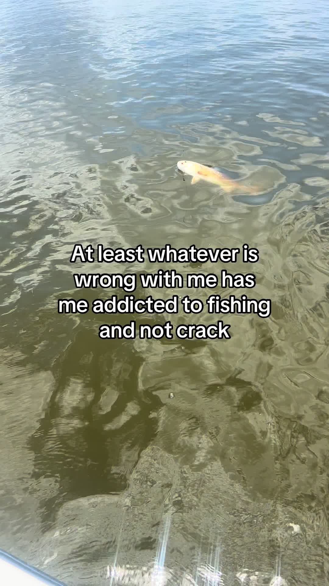 @🏝️girlpirate🏴☠️🧜♀️ 🎣Capt