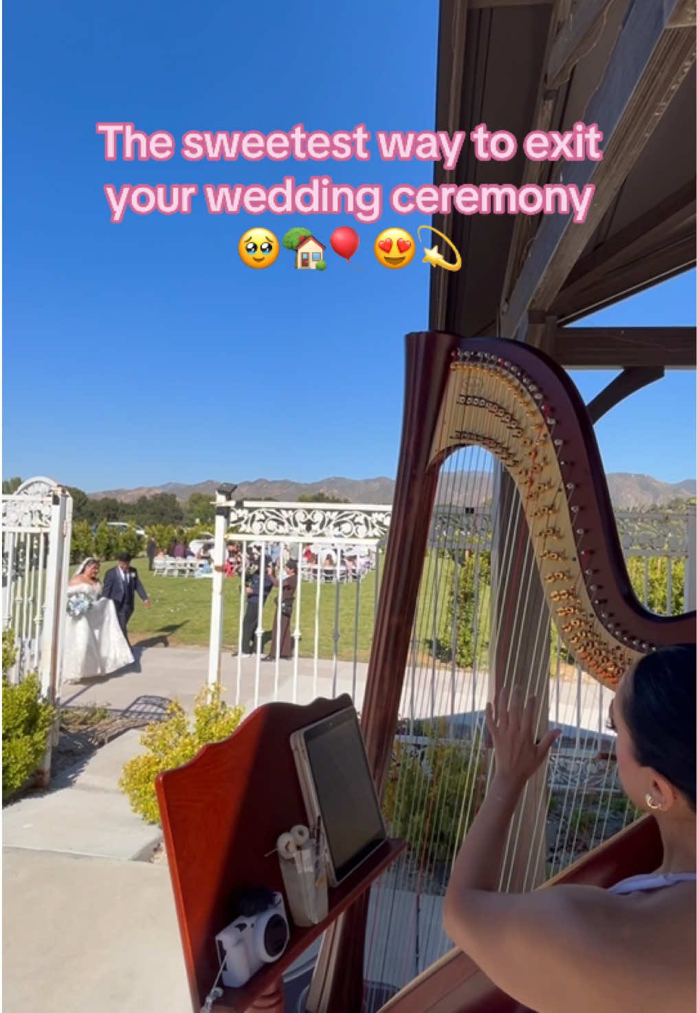 @betaniarodriguezharp