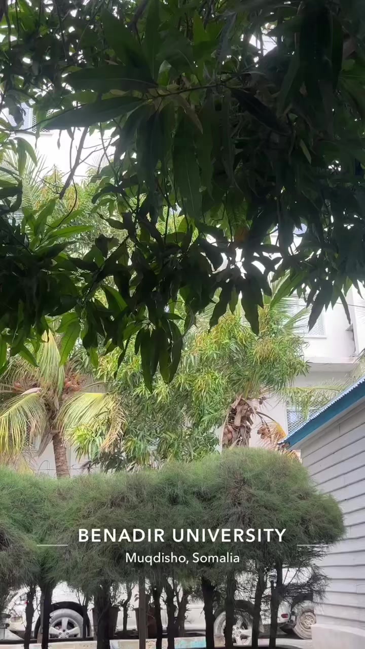 @H๐๐ค