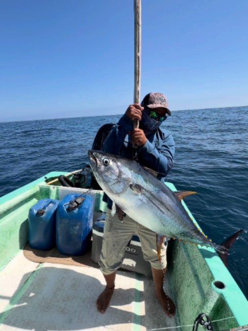 @Baja Molinito Experience