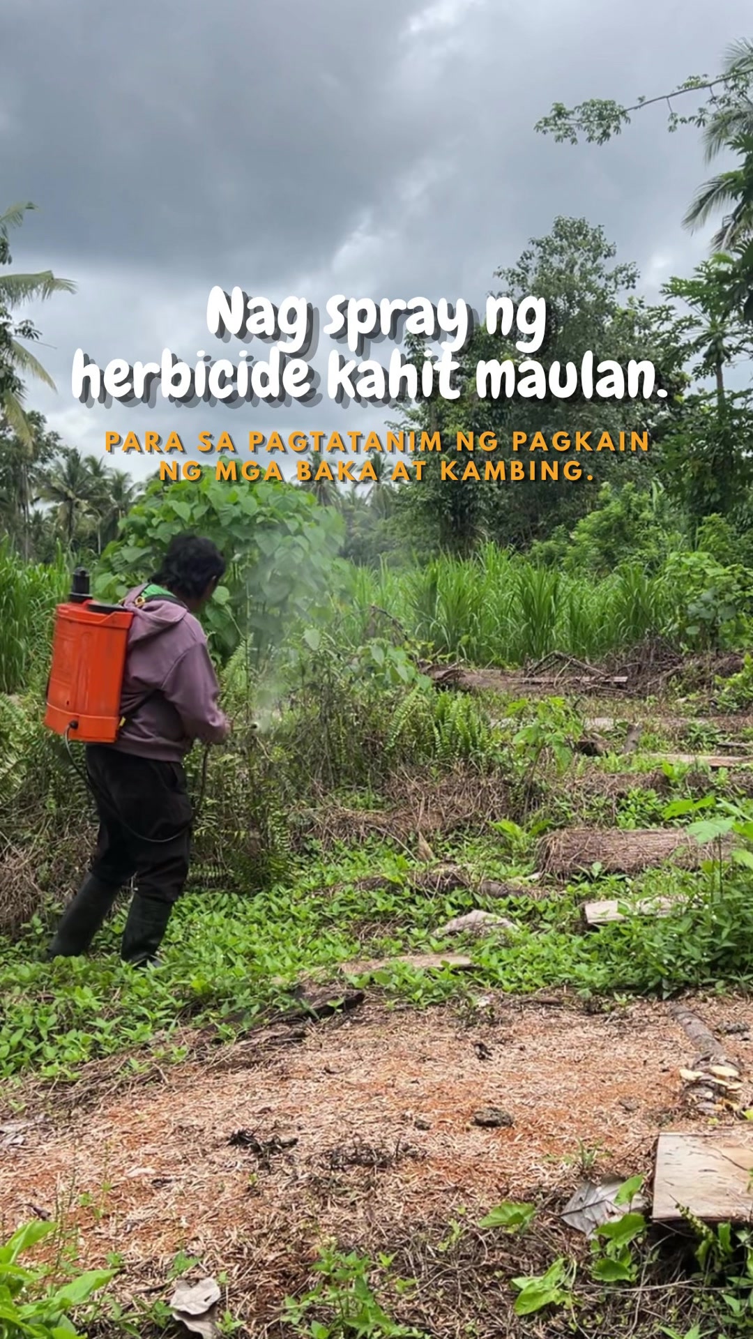 @indaypoypoy