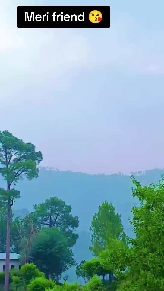 @جنگلی بلی 😺