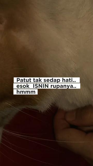 @SheMama🐱🤍
