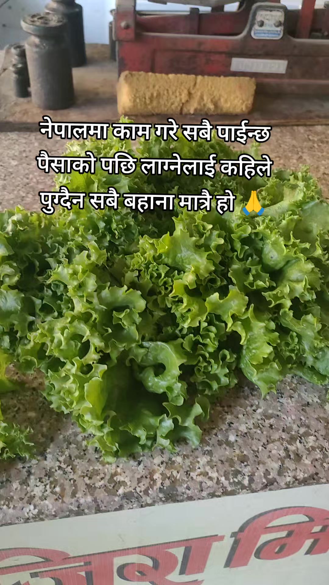 @Bhakta Lal Shrestha