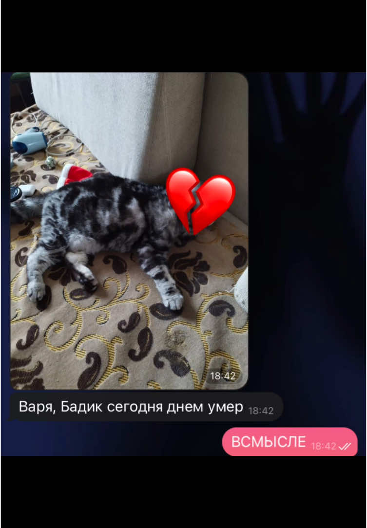 @milli_sontana