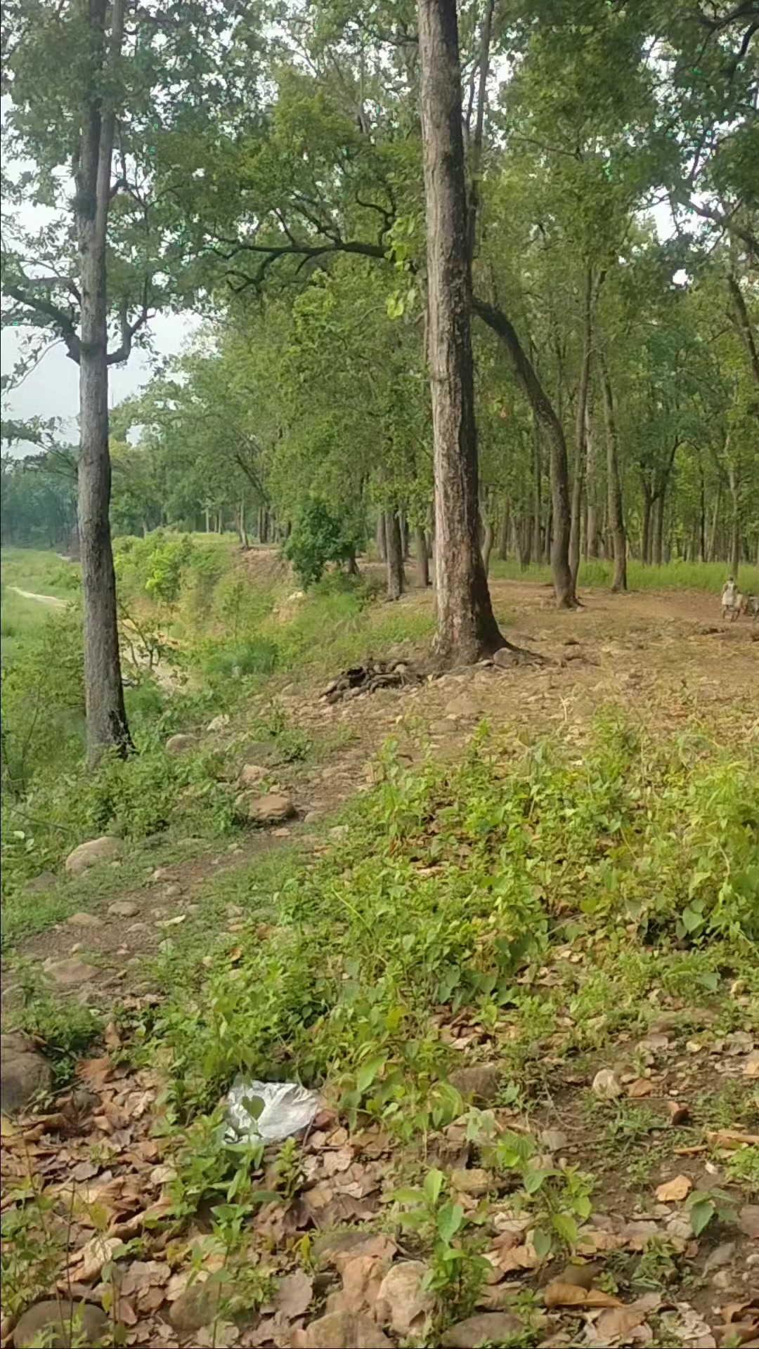 @सम्बृद्दी ड्राइभिङ्ग सेन्टर