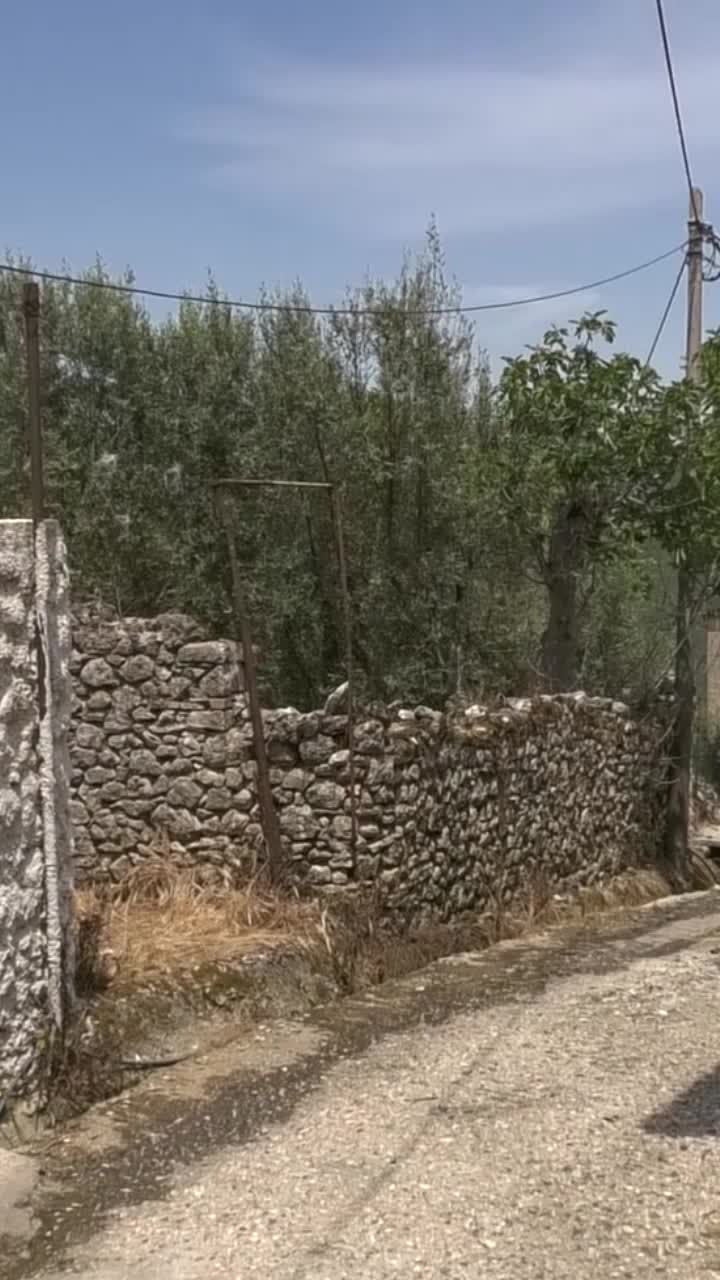 @blutelevizion