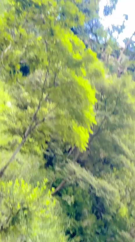 @عنم رنگ ھلک🫀🥀