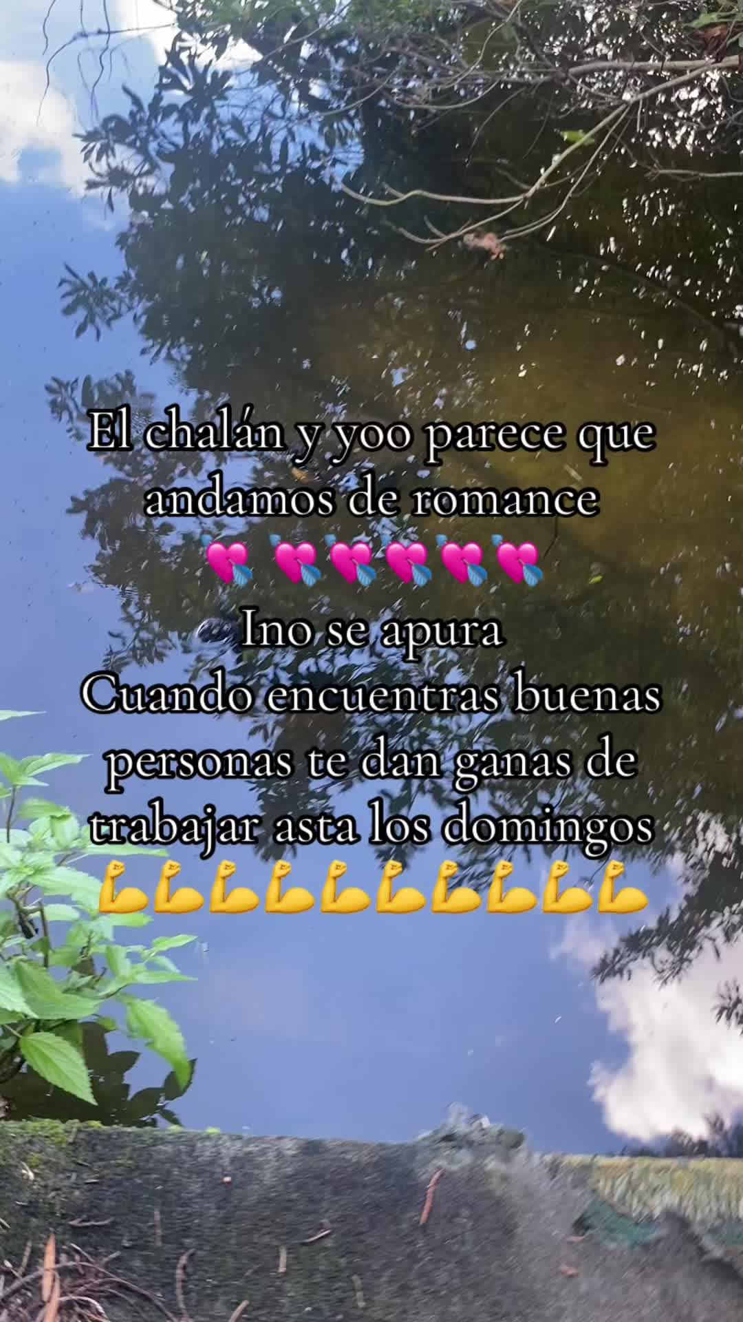 @mary