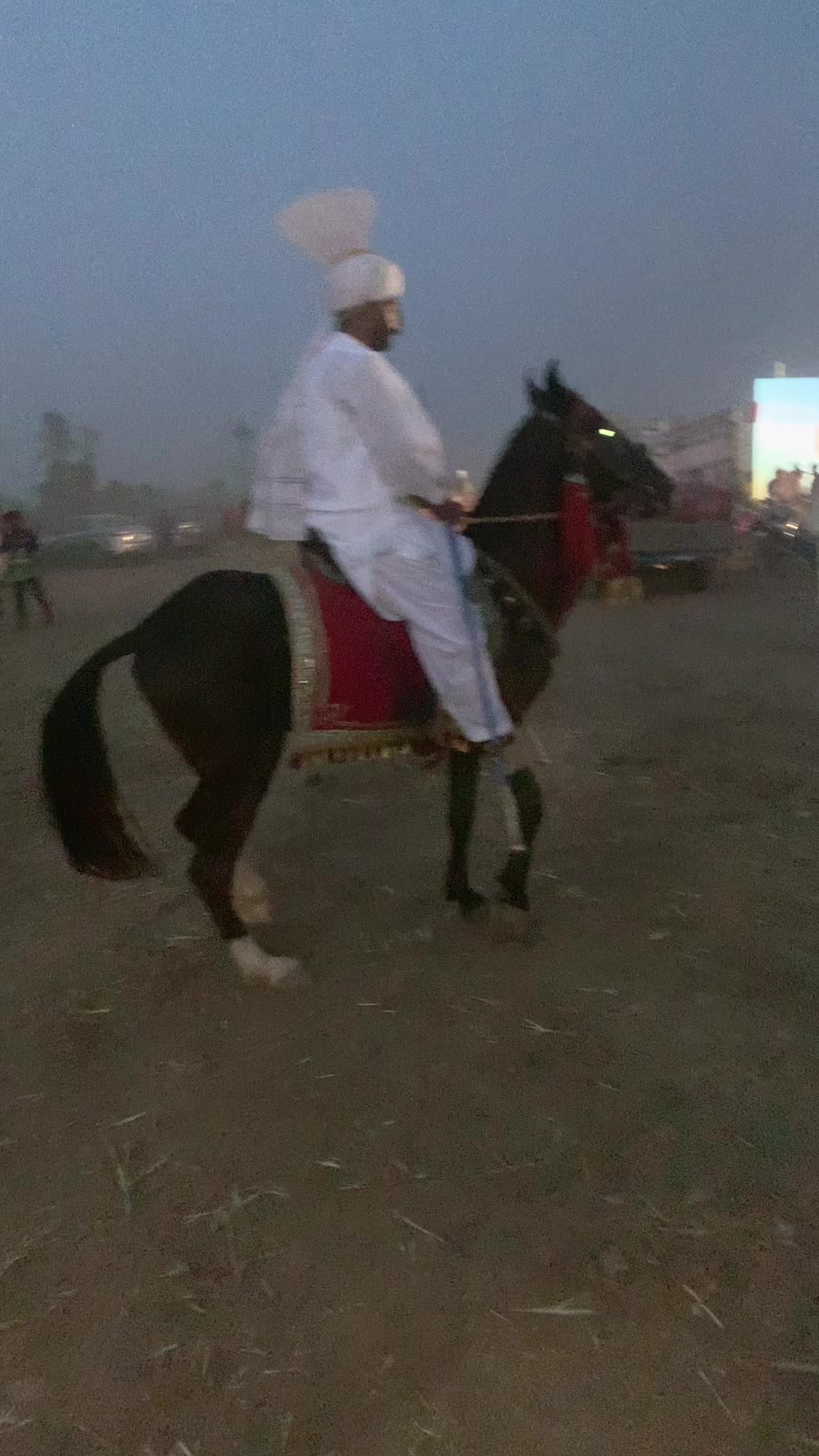 @🦅Ch-Asjad-Ali-Saidagoll🐎