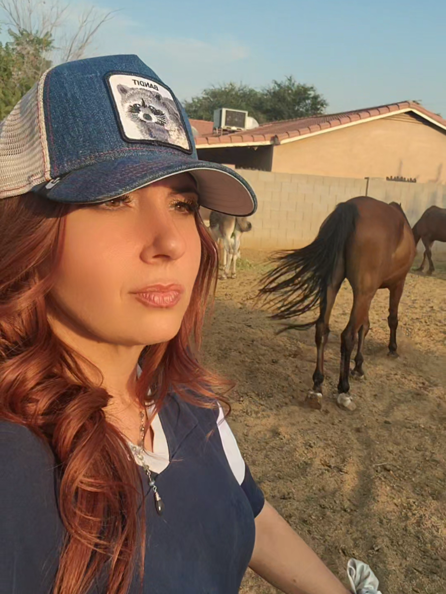 @Michelle Cicalese818