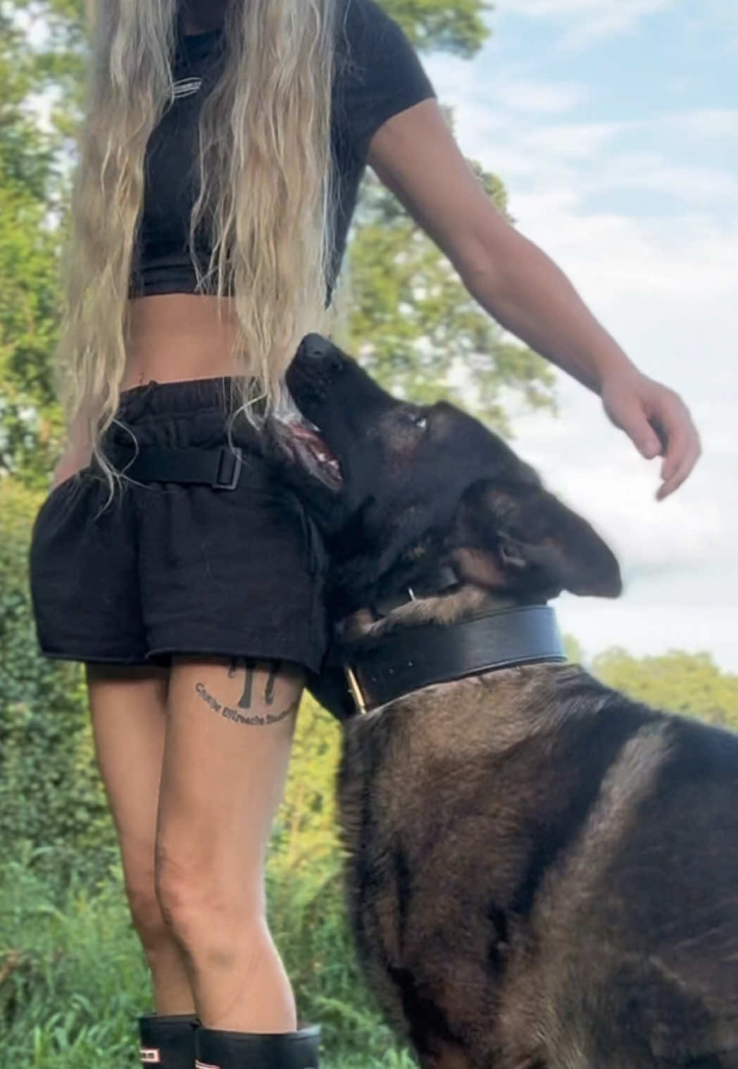 @True Guard K9 I Tara
