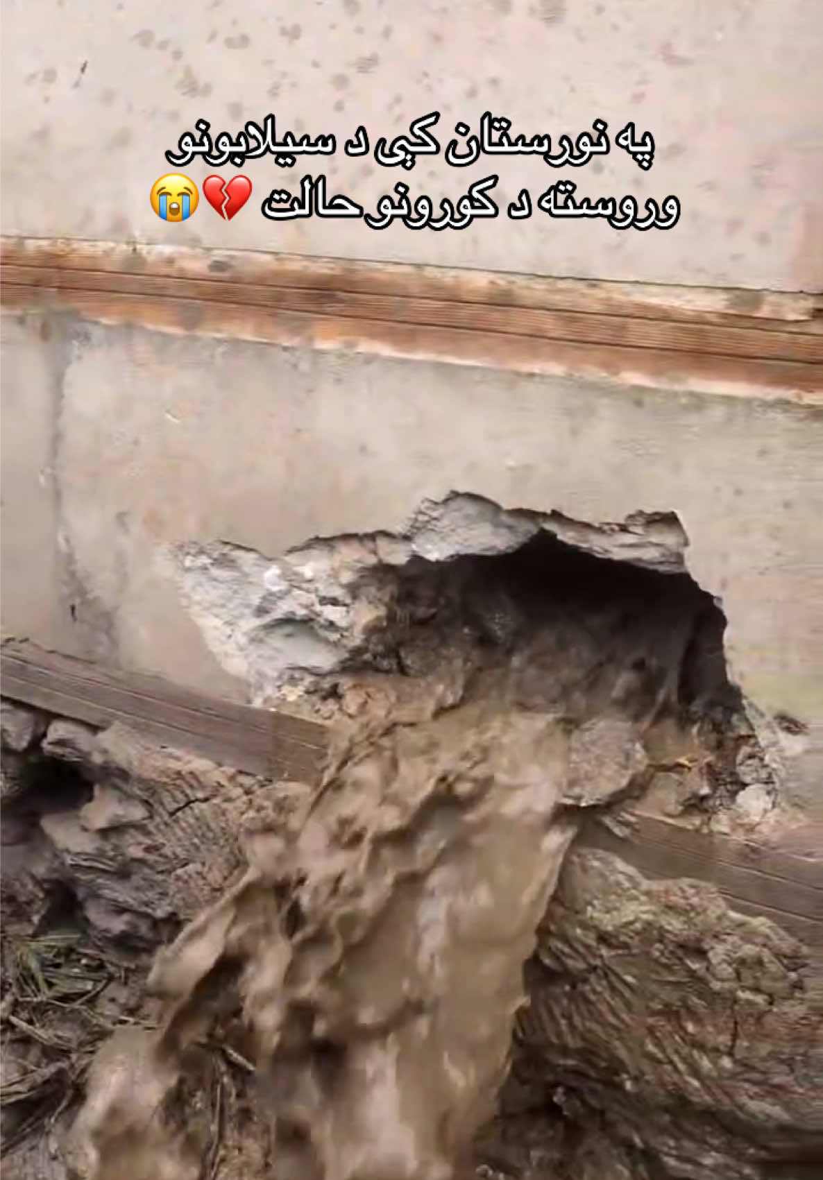 @saeedullah_safi