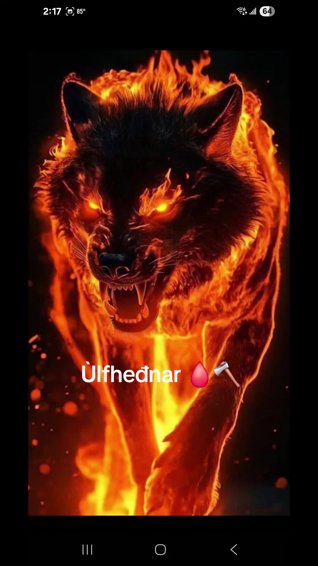 @Old man Berserker🪓Úlfheđnar