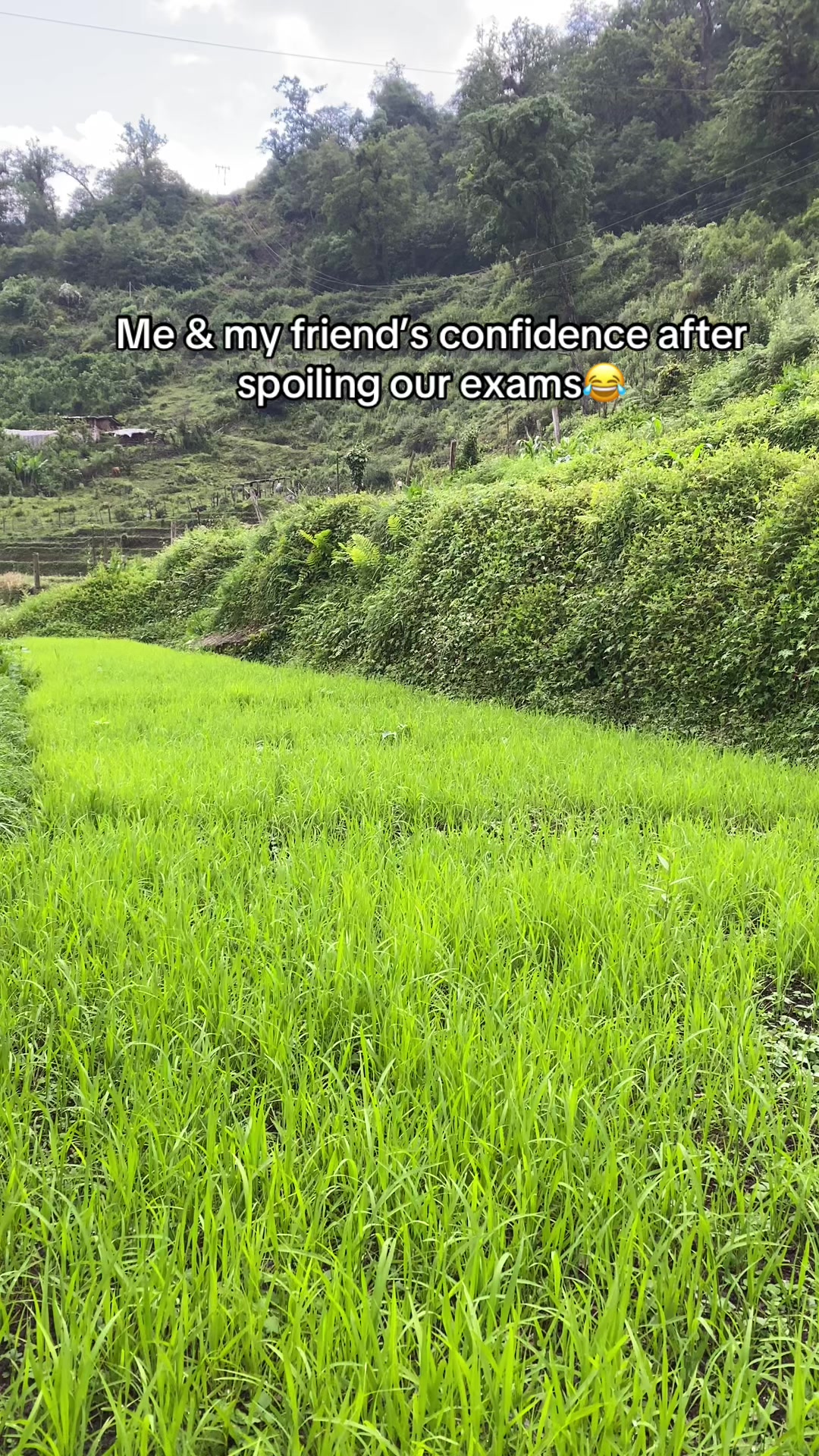 @healingbht