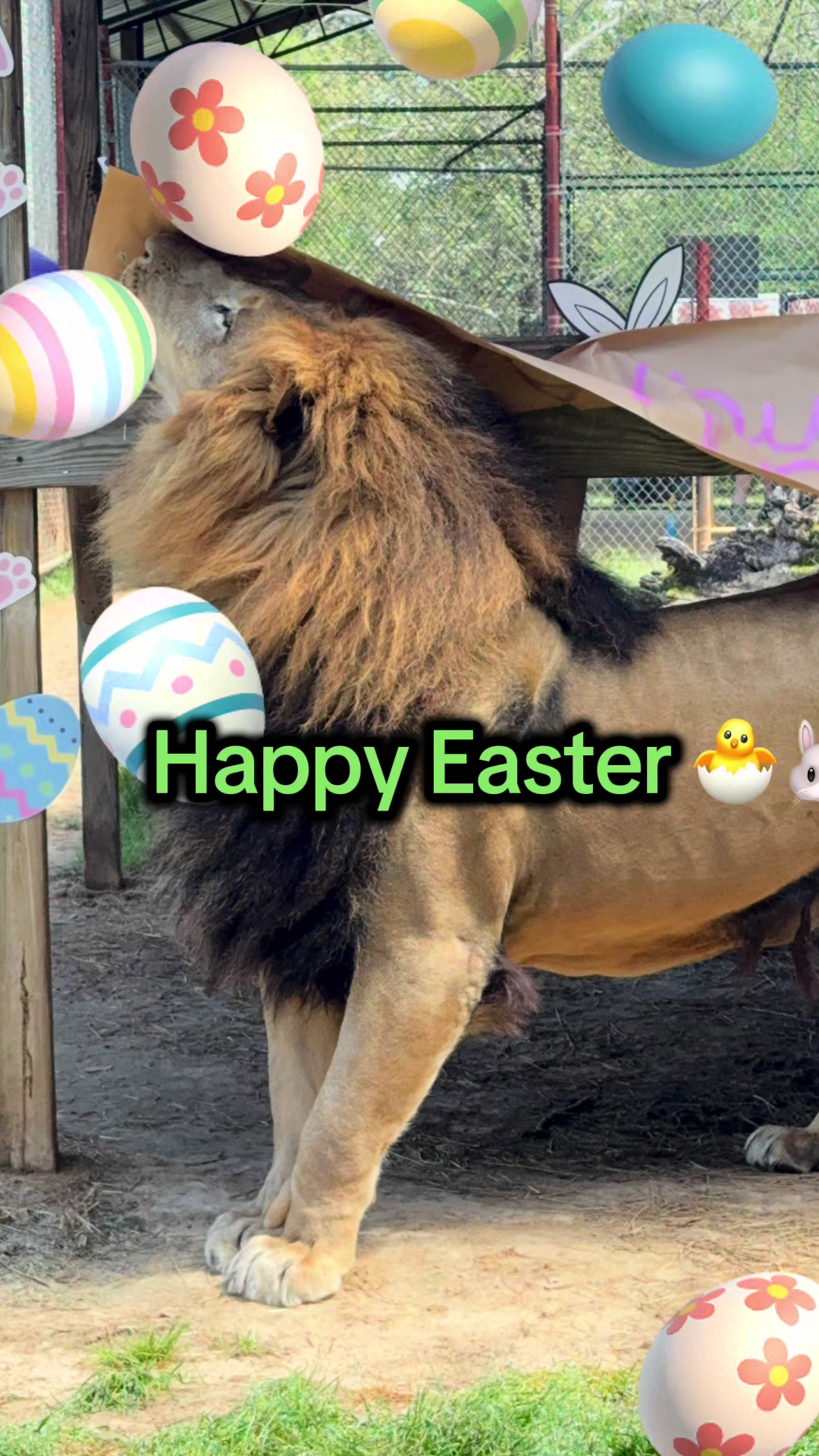 @Cedarhill Animal Sanctuary
