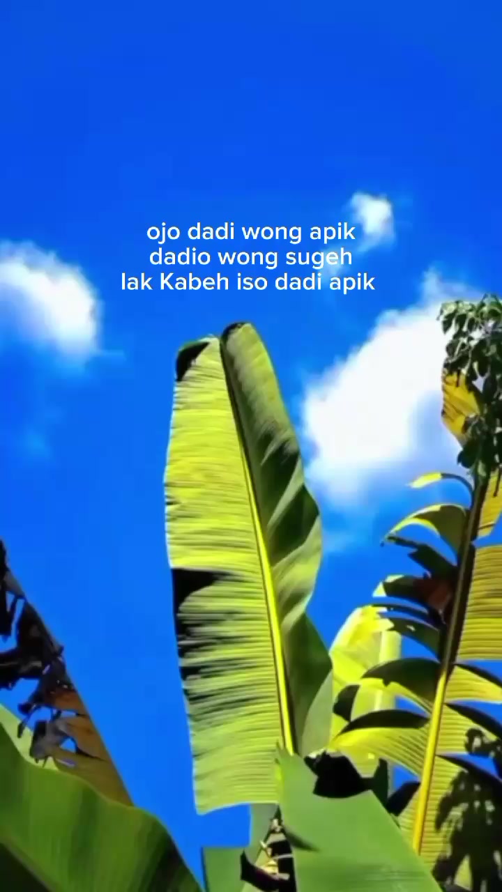 @JOWO STORY🥀