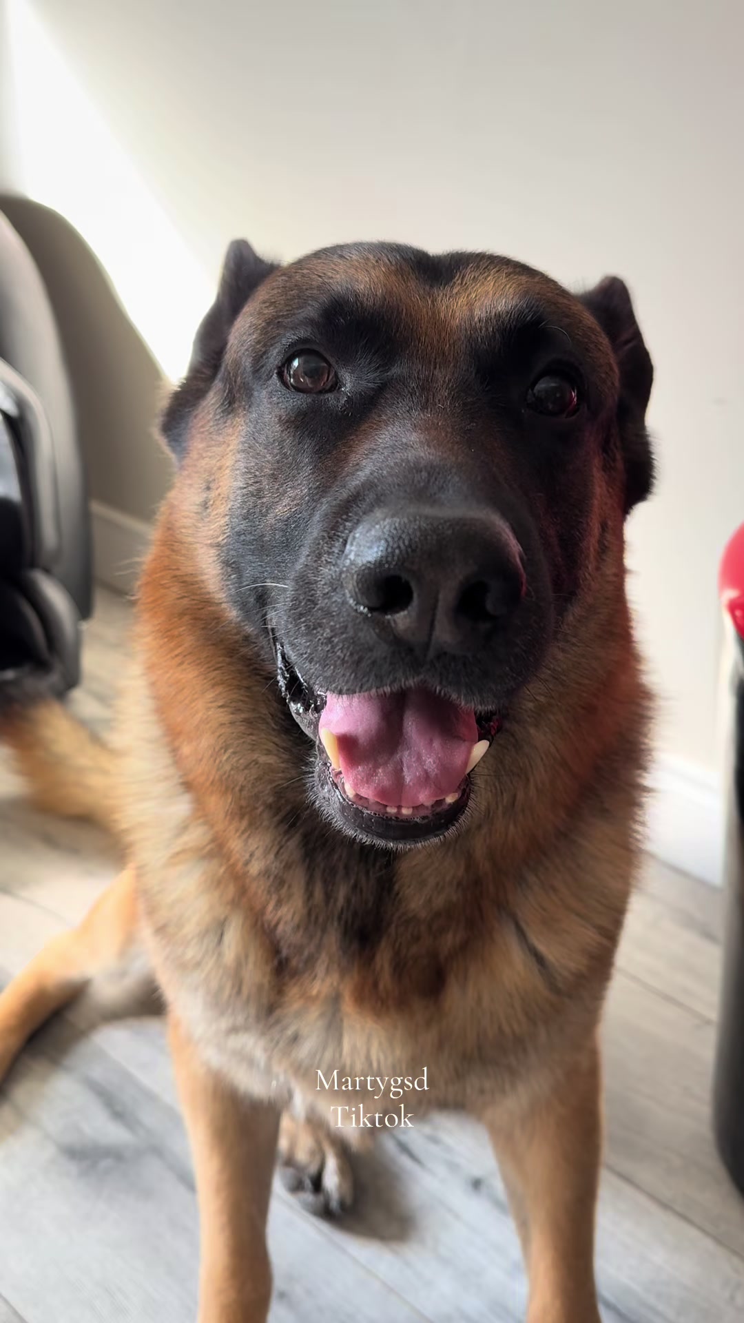 @Martygsd