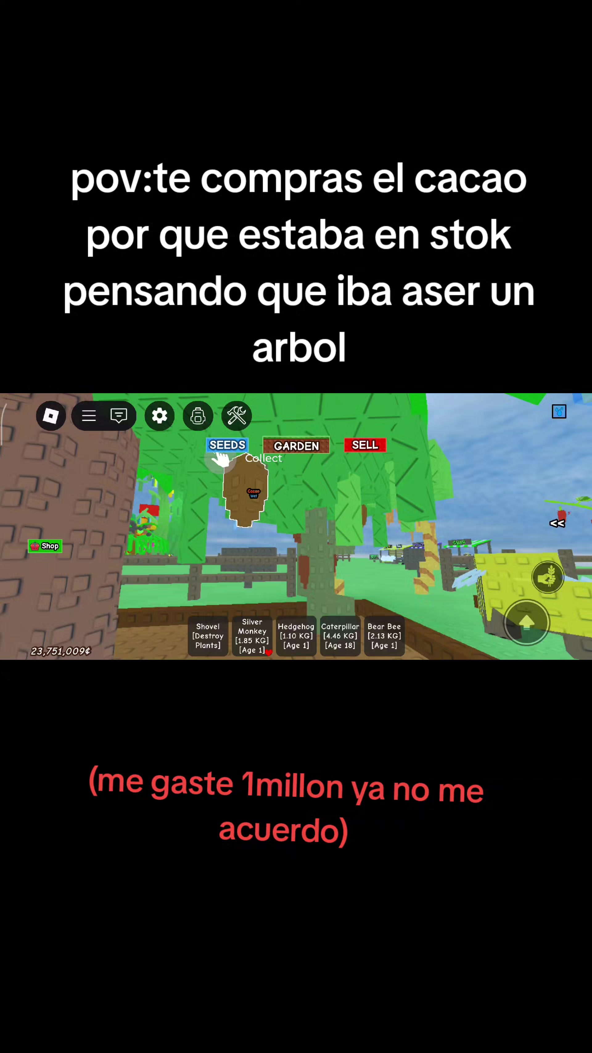 @XplexitoX