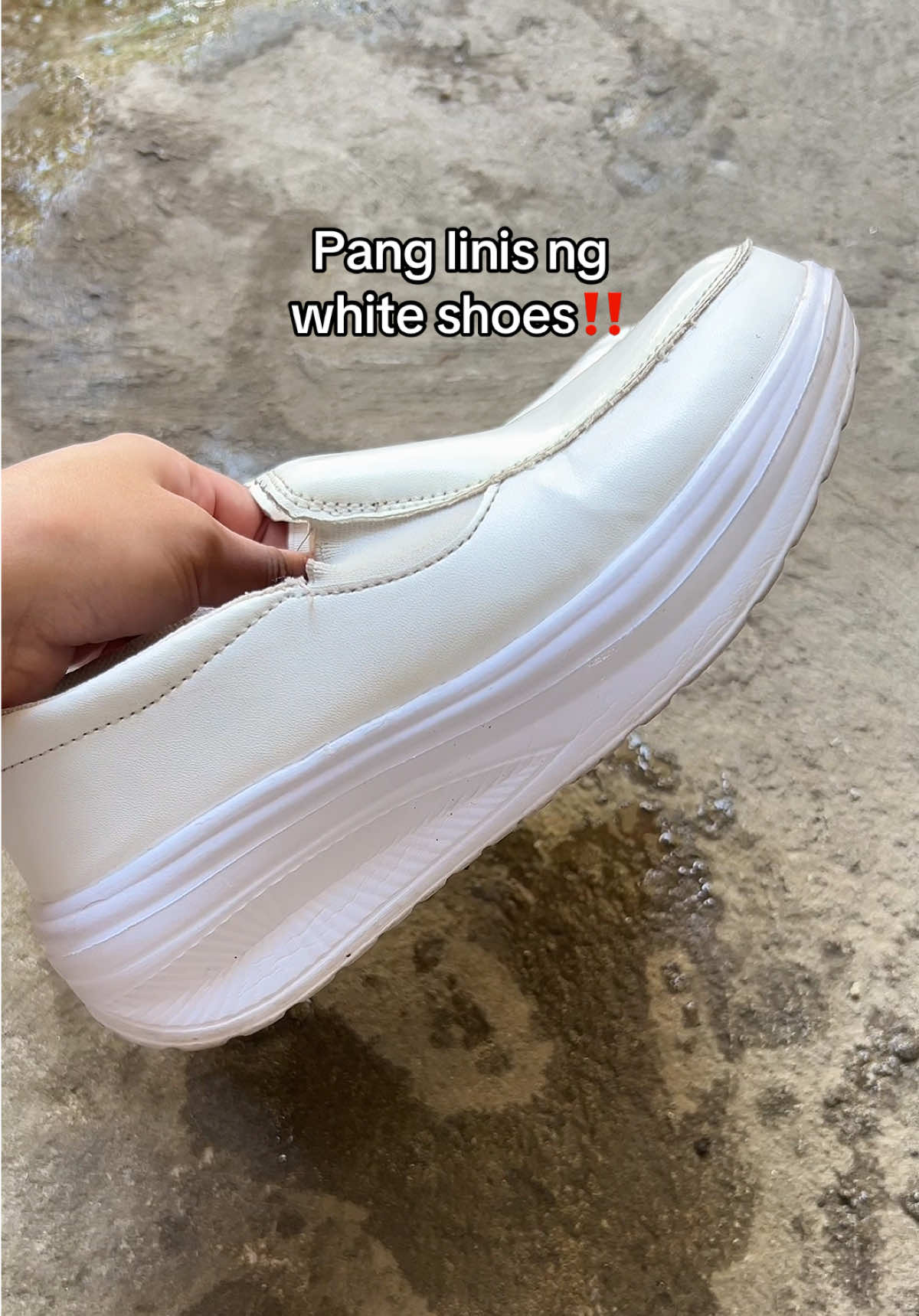 @Julia SN ౨ৎ
