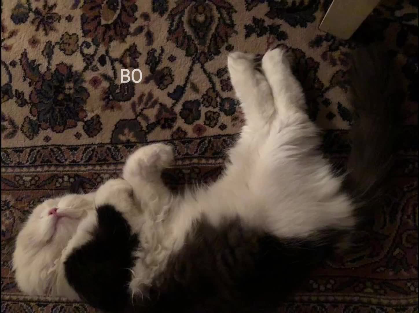 @эликсир