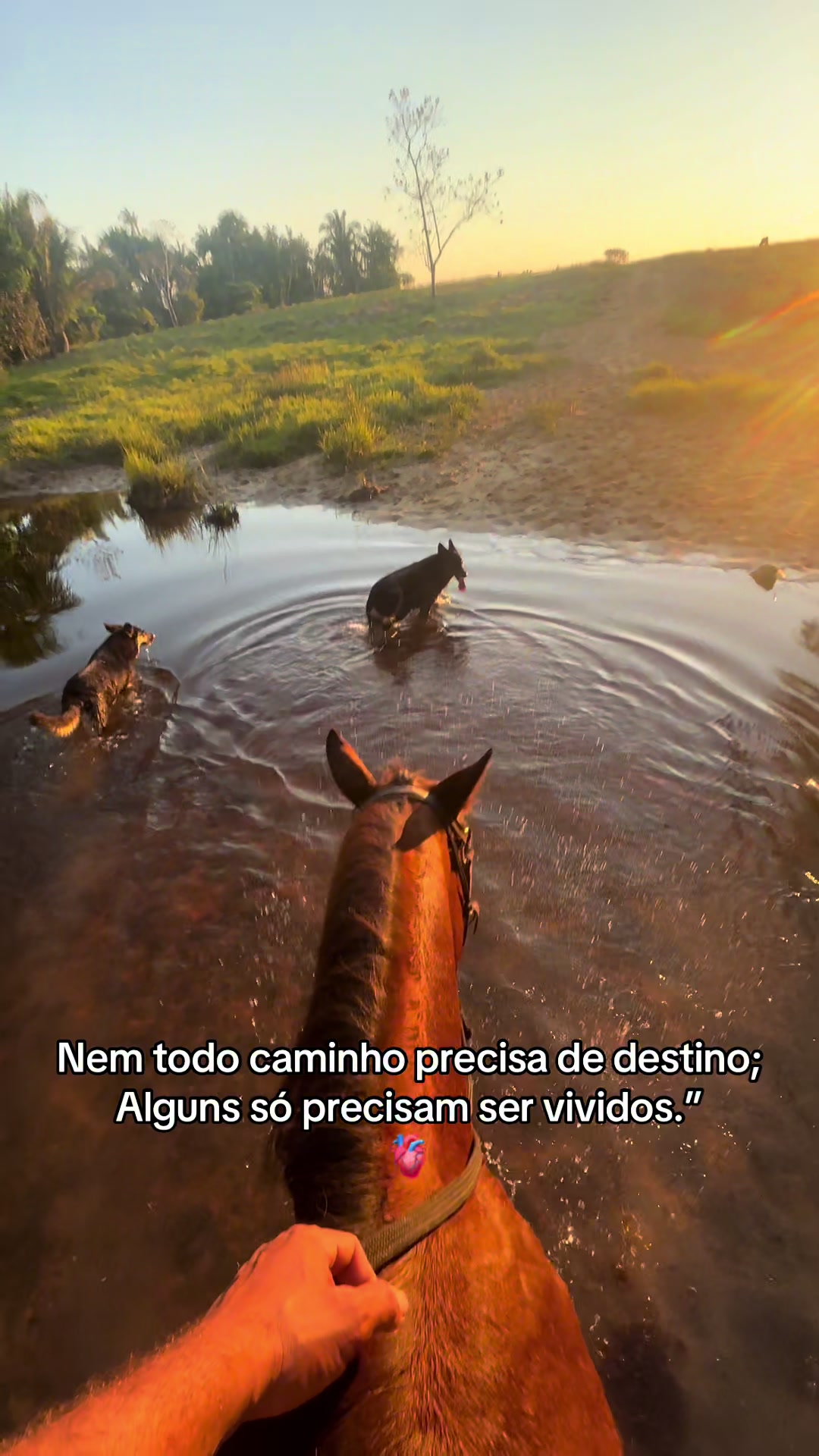 @lukasvieira_🍀
