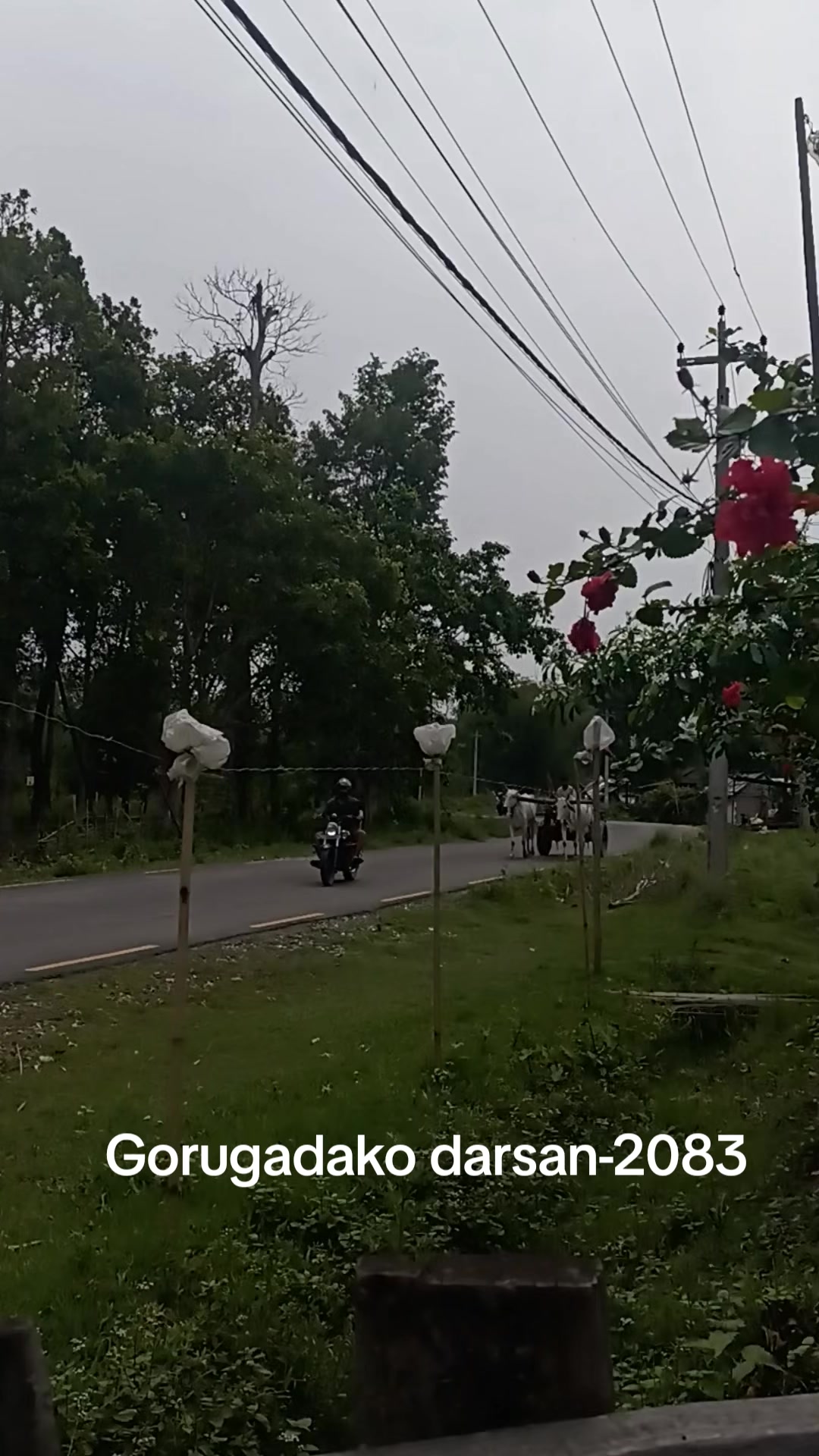 @Niraj Rai