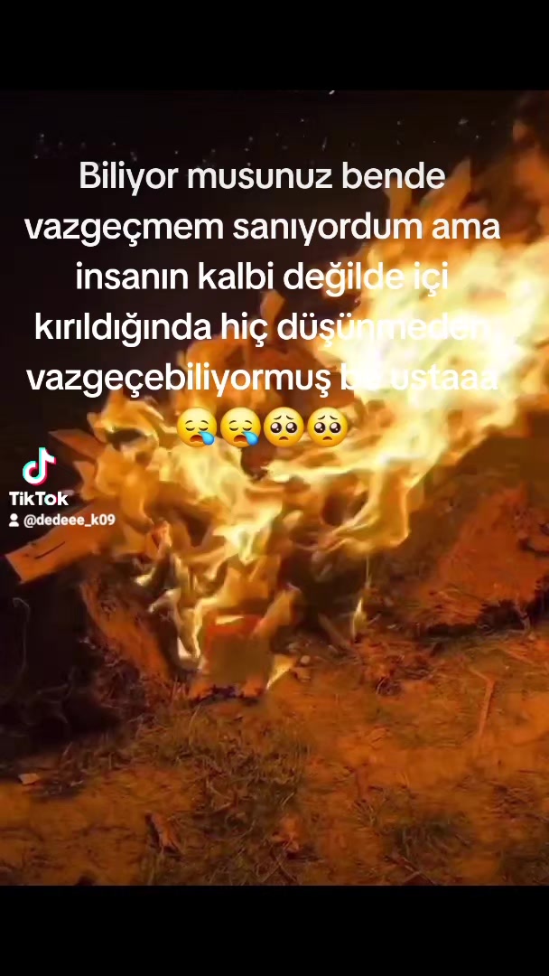 @⚜️wolf usta ⚜️
