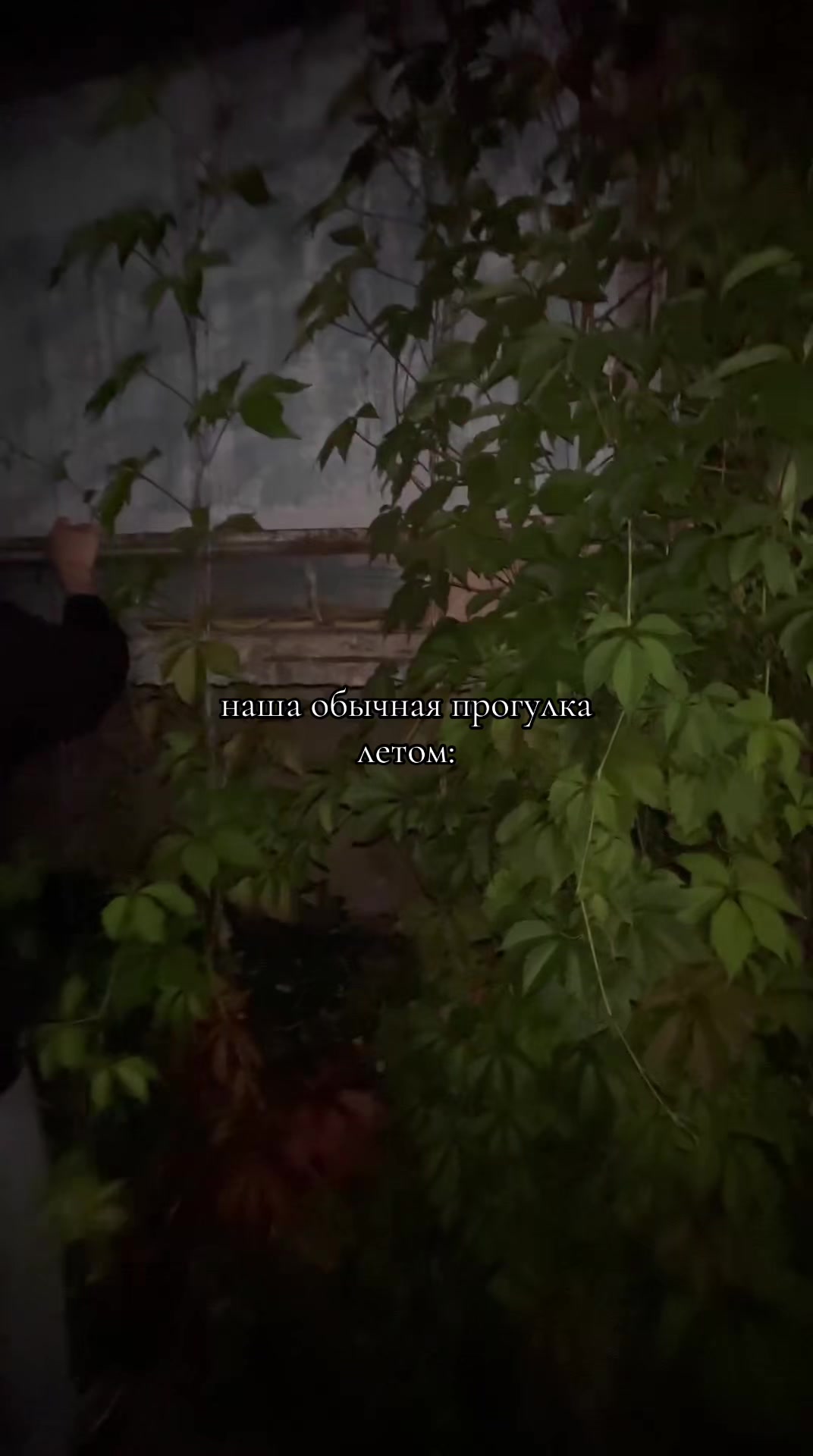 @Дашка🎀