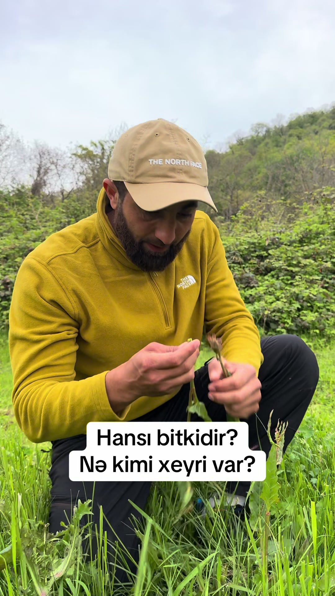 @salehbakhshiyev