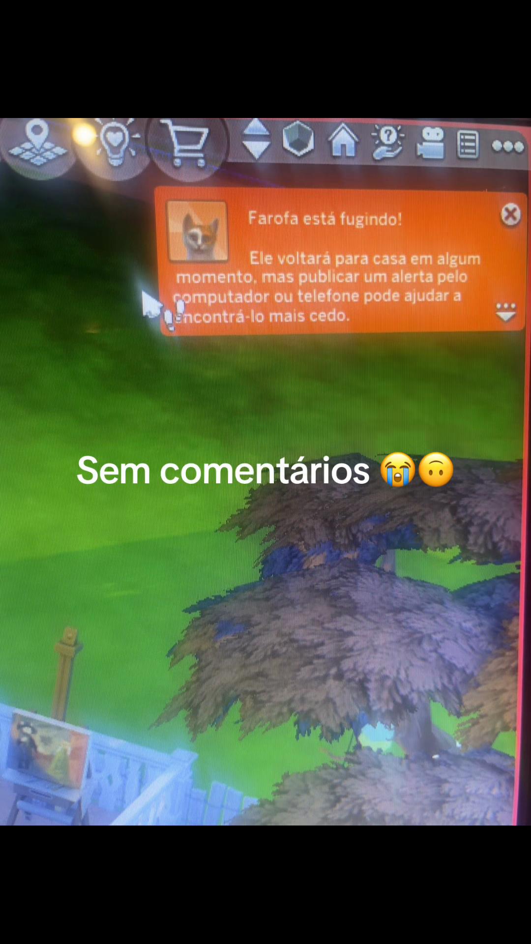 @Thais Sims