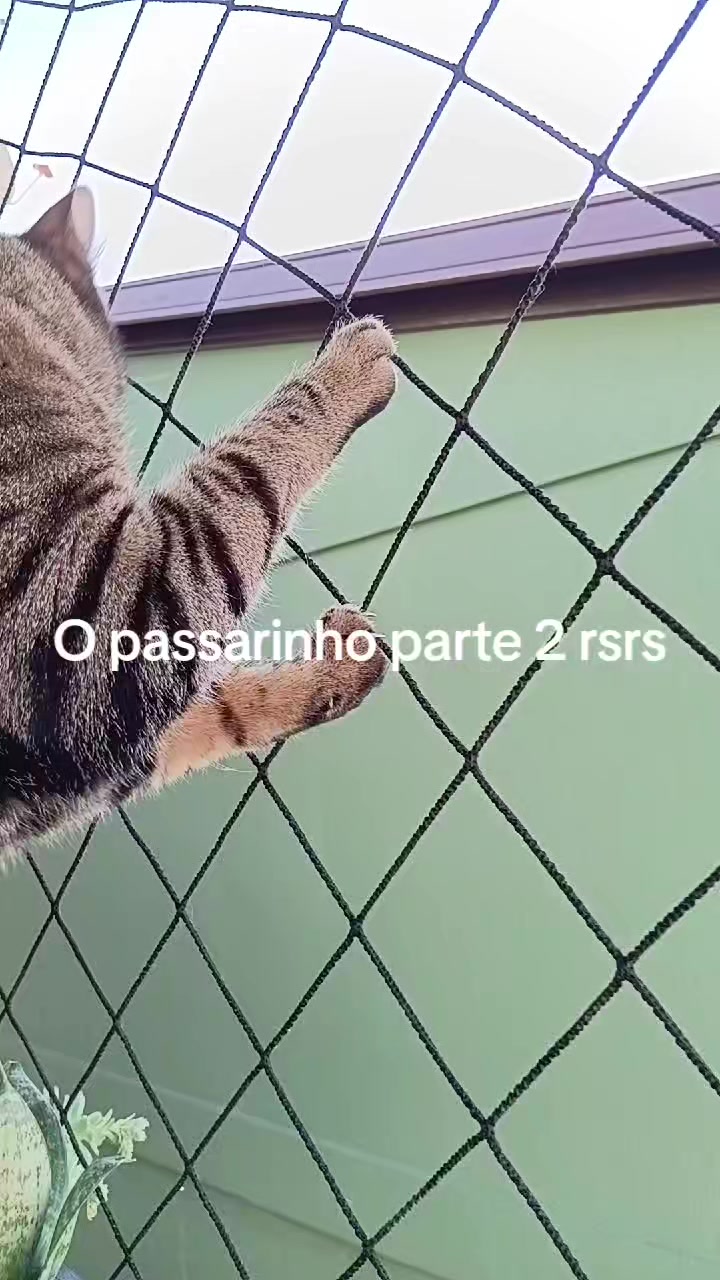 @cissarossato🍒😻