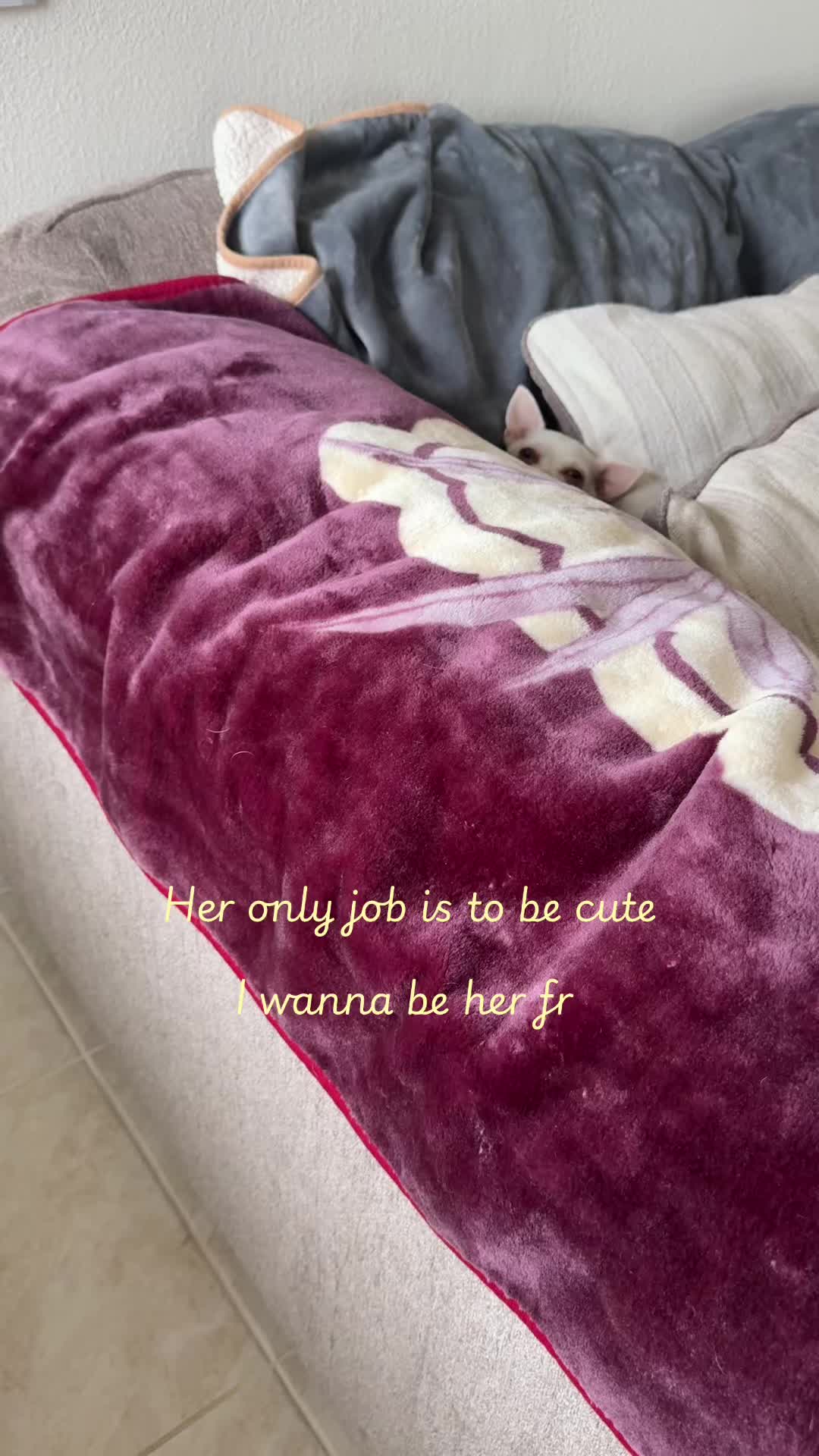 @darimaridarling