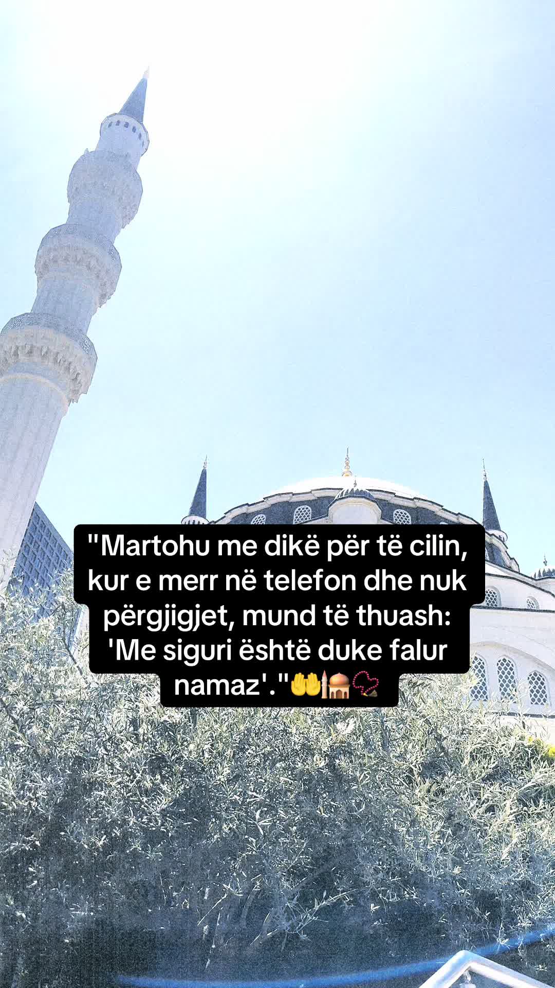 @Elton Gjana