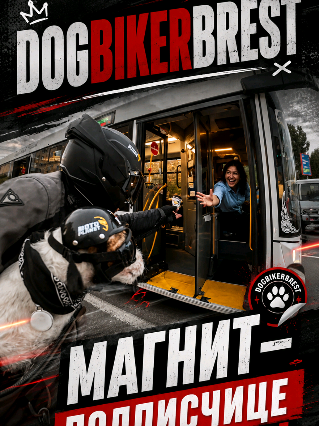 @DogBiker