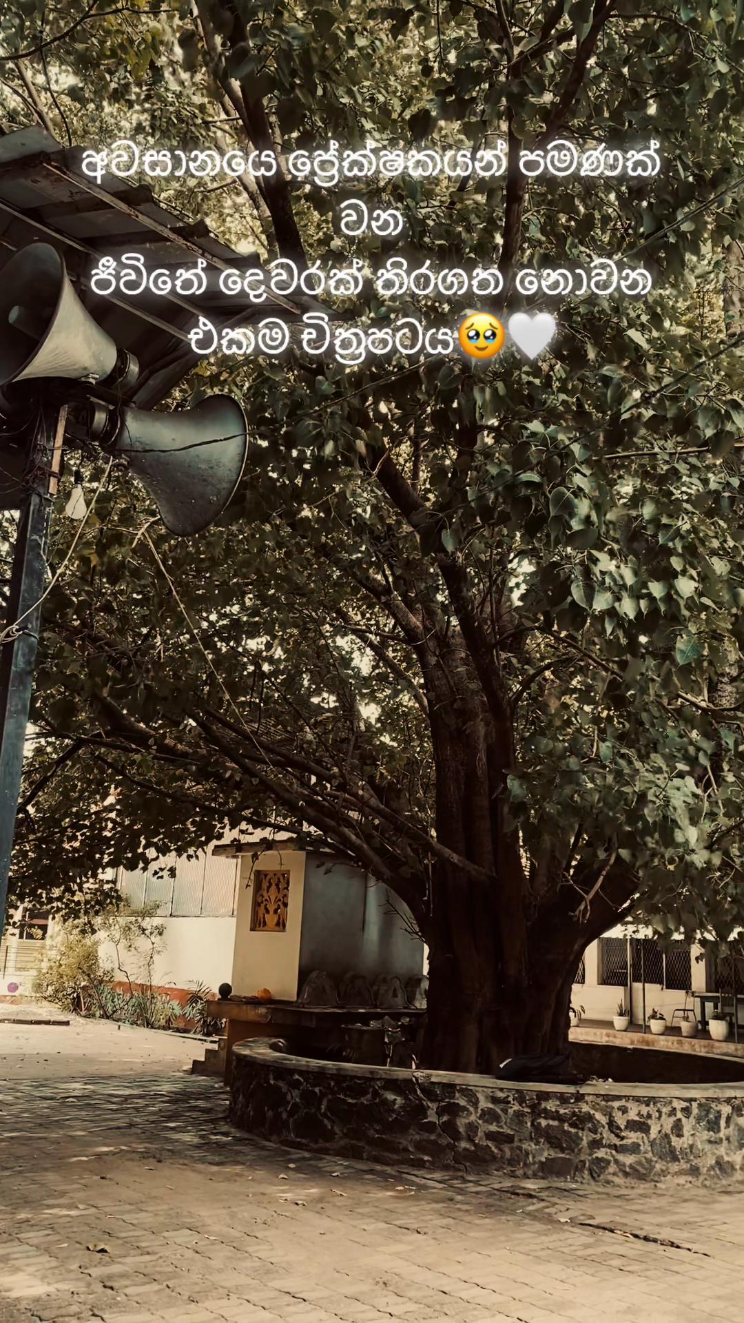 @<W💋💐…….
