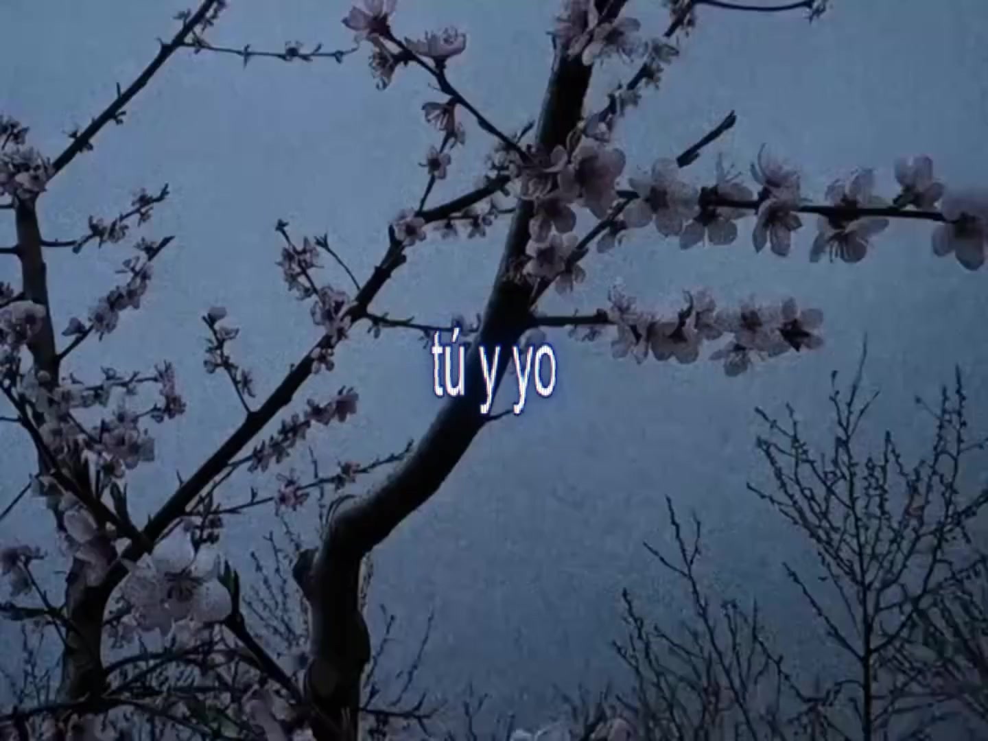 @w♾️ ⁰⁶⁰⁷⁰