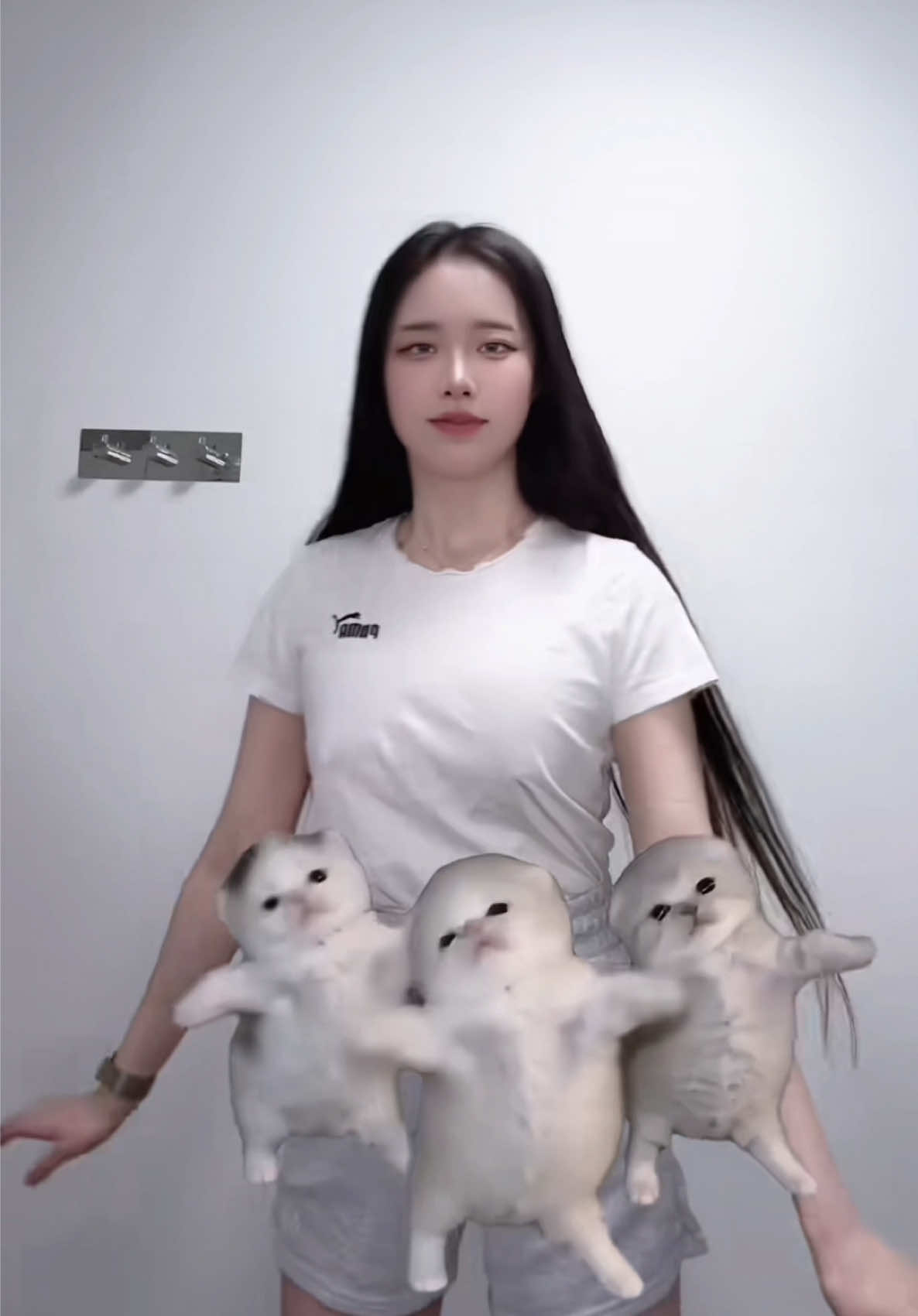 @Liễu Như Yên 🦋